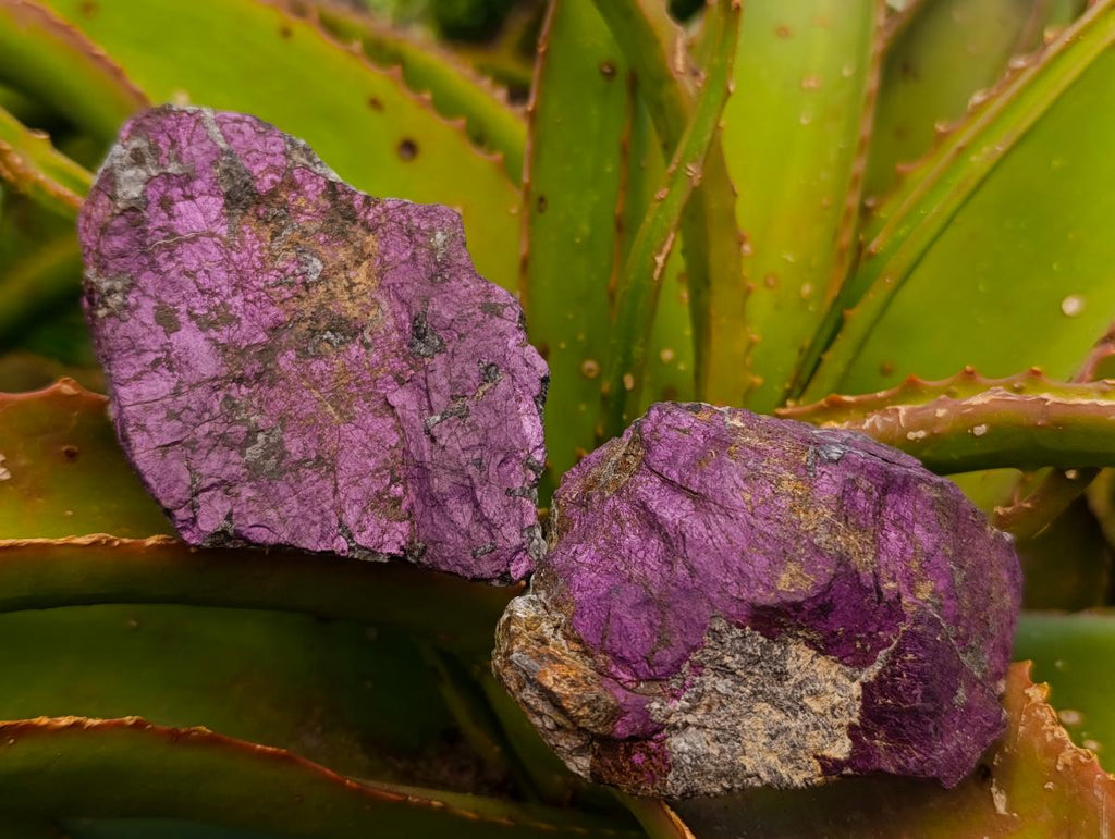 Natural Metallic Cobbed Purpurite Specimens x 12 From Erongo, Namibia - Toprock Gemstones and Minerals 