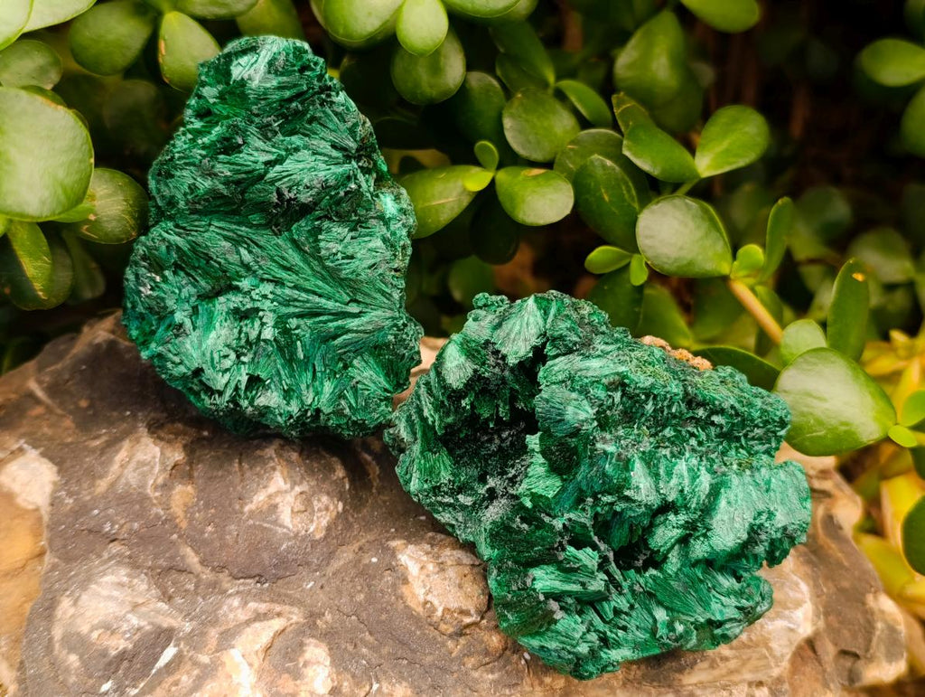 Natural Silky Malachite Specimens x 3 From Kasompe, Congo - Toprock Gemstones and Minerals 