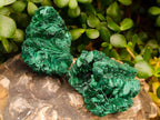 Natural Silky Malachite Specimens x 3 From Kasompe, Congo - Toprock Gemstones and Minerals 