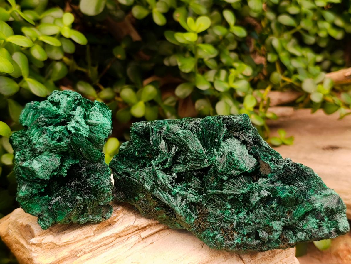 Natural Silky Malachite Specimens x 3 From Kasompe, Congo - Toprock Gemstones and Minerals 