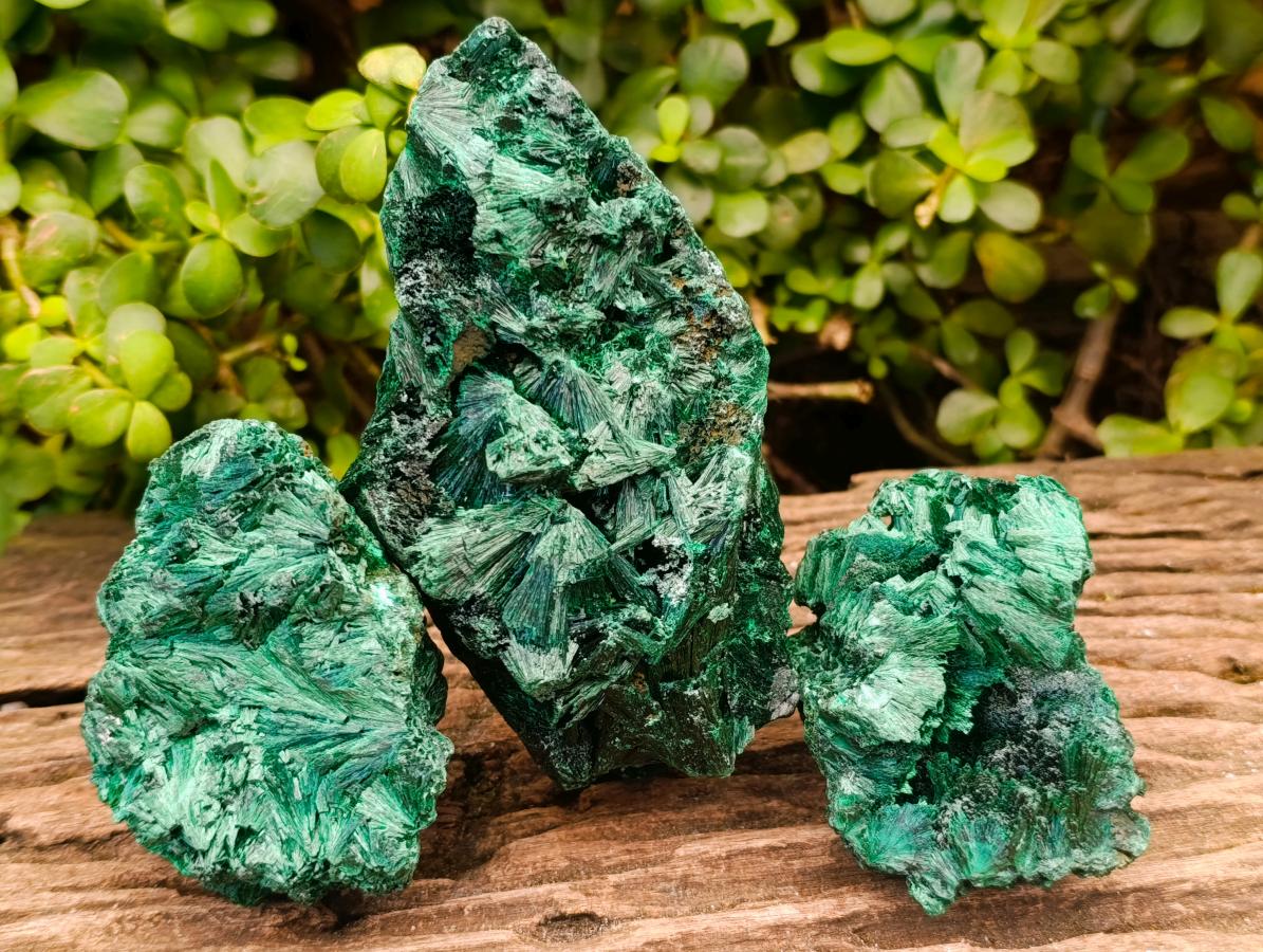 Natural Silky Malachite Specimens x 3 From Kasompe, Congo - Toprock Gemstones and Minerals 