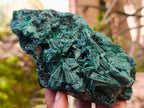 Natural Silky Malachite Specimens x 3 From Kasompe, Congo - Toprock Gemstones and Minerals 