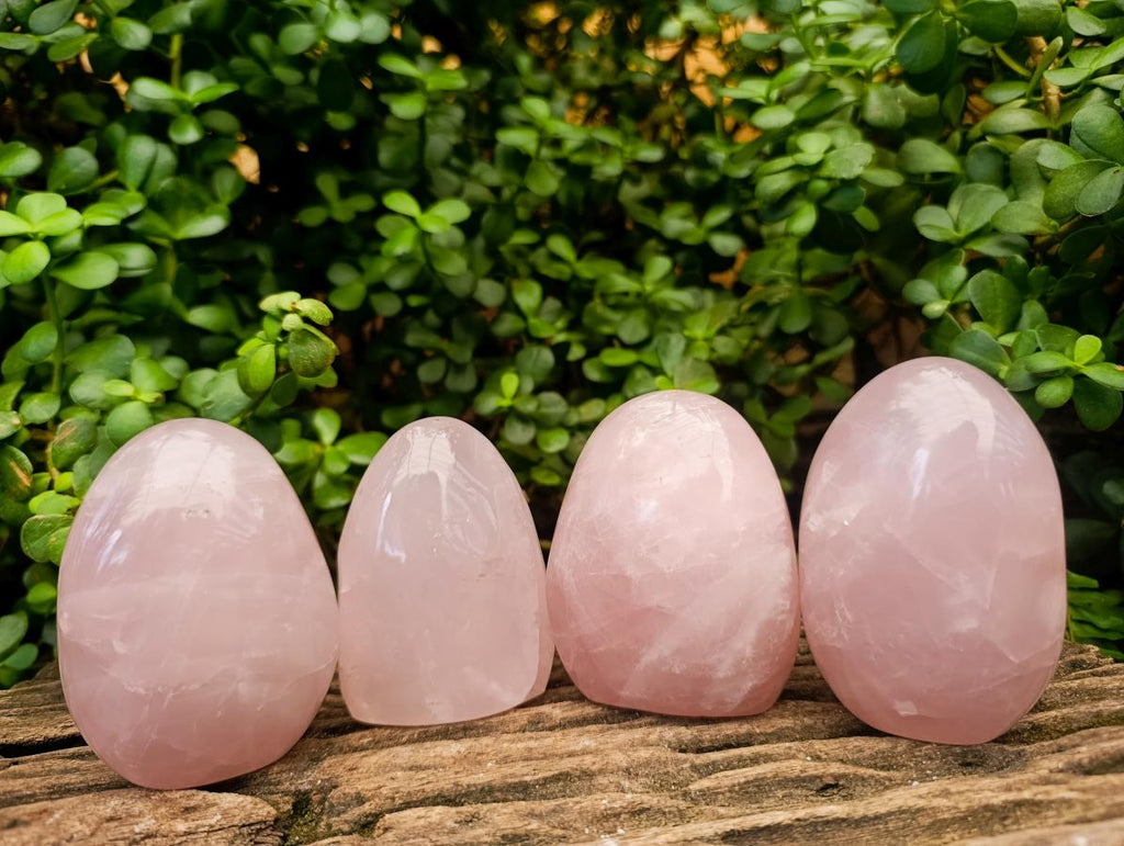 Polished Gemmy Rose Quartz Standing Free Forms x 4 From Madagascar - Toprock Gemstones and Minerals 