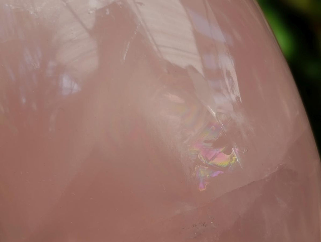 Polished Gemmy Rose Quartz Standing Free Forms x 4 From Madagascar - Toprock Gemstones and Minerals 