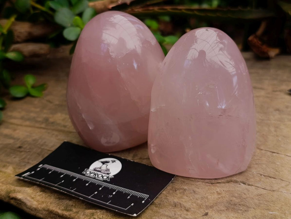 Polished Gemmy Rose Quartz Standing Free Forms x 4 From Madagascar - Toprock Gemstones and Minerals 