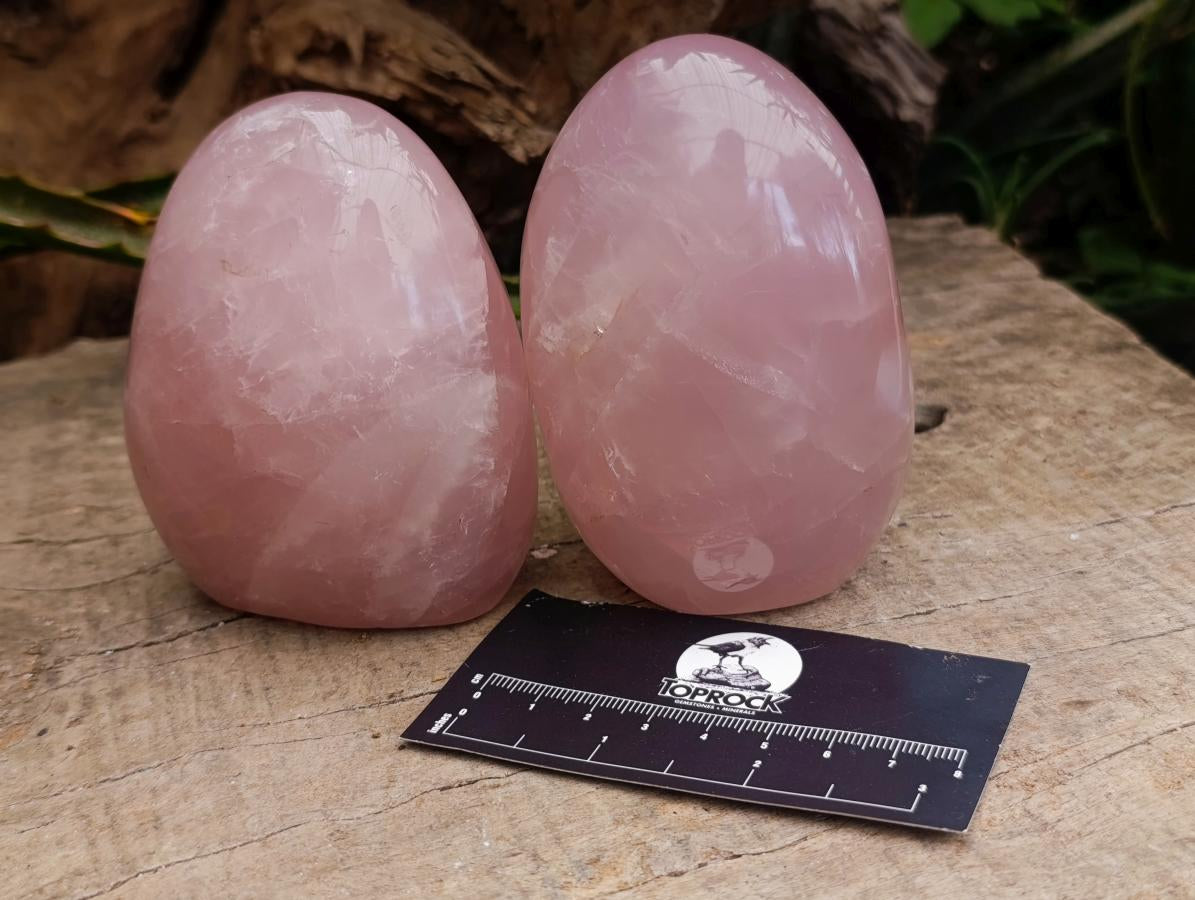 Polished Gemmy Rose Quartz Standing Free Forms x 4 From Madagascar - Toprock Gemstones and Minerals 