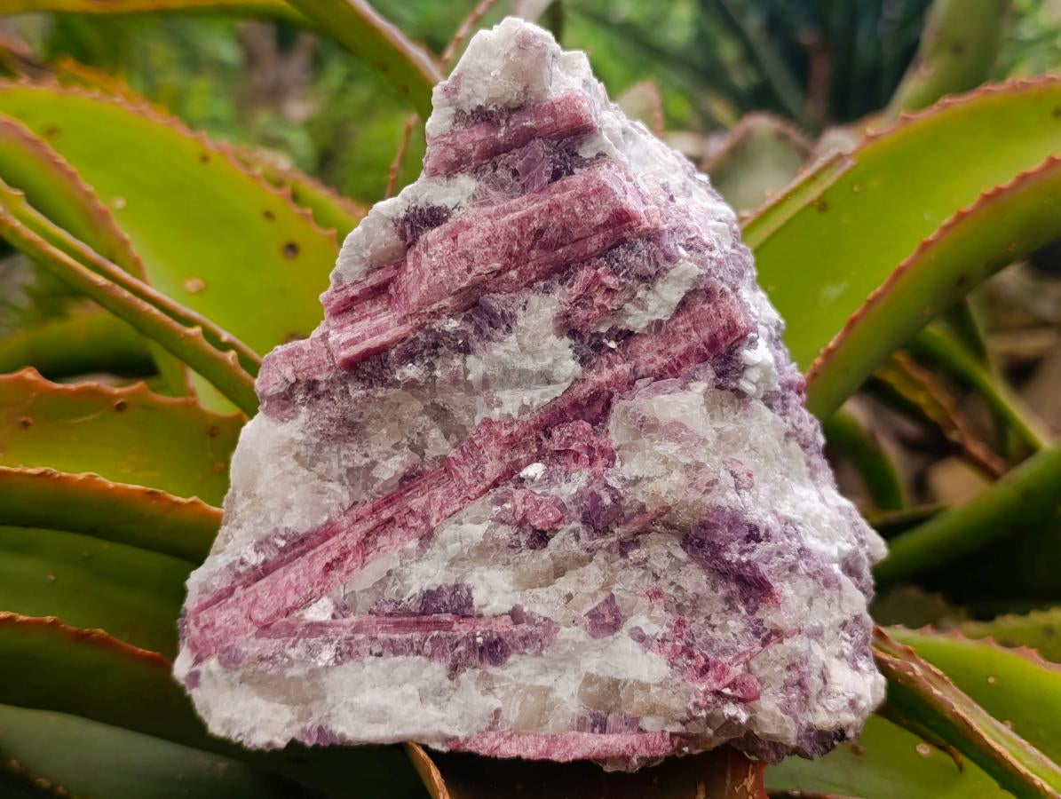 Natural Pink Rubellite Tourmaline Specimens x 2 From Karibib, Namibia - Toprock Gemstones and Minerals 