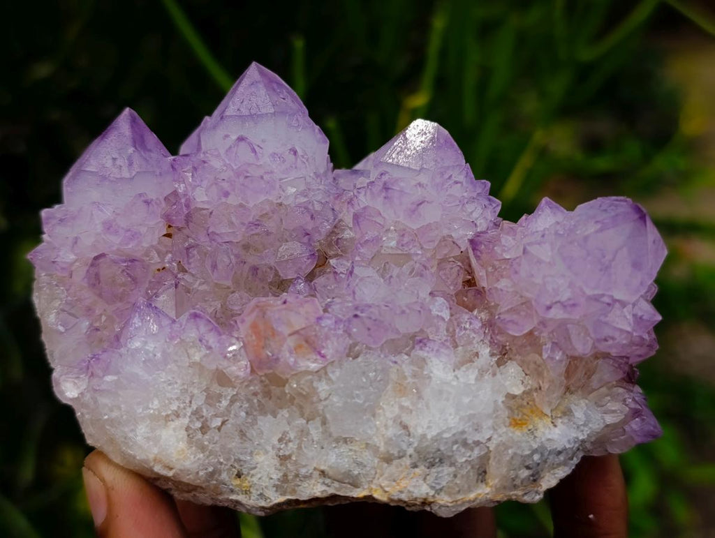 Natural Cactus Flower Spirit Quartz Clusters x 3 From South Africa - Toprock Gemstones and Minerals 
