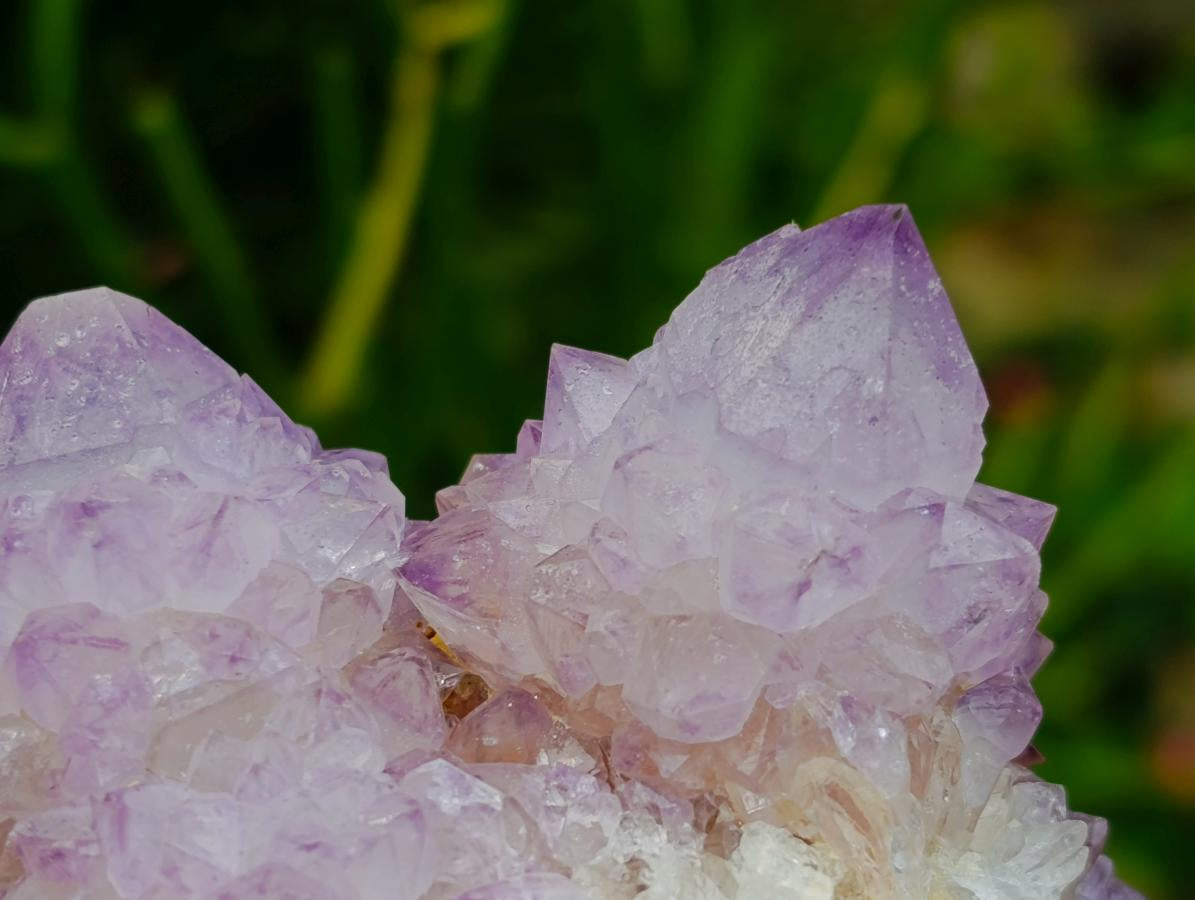 Natural Cactus Flower Spirit Quartz Clusters x 3 From South Africa - Toprock Gemstones and Minerals 