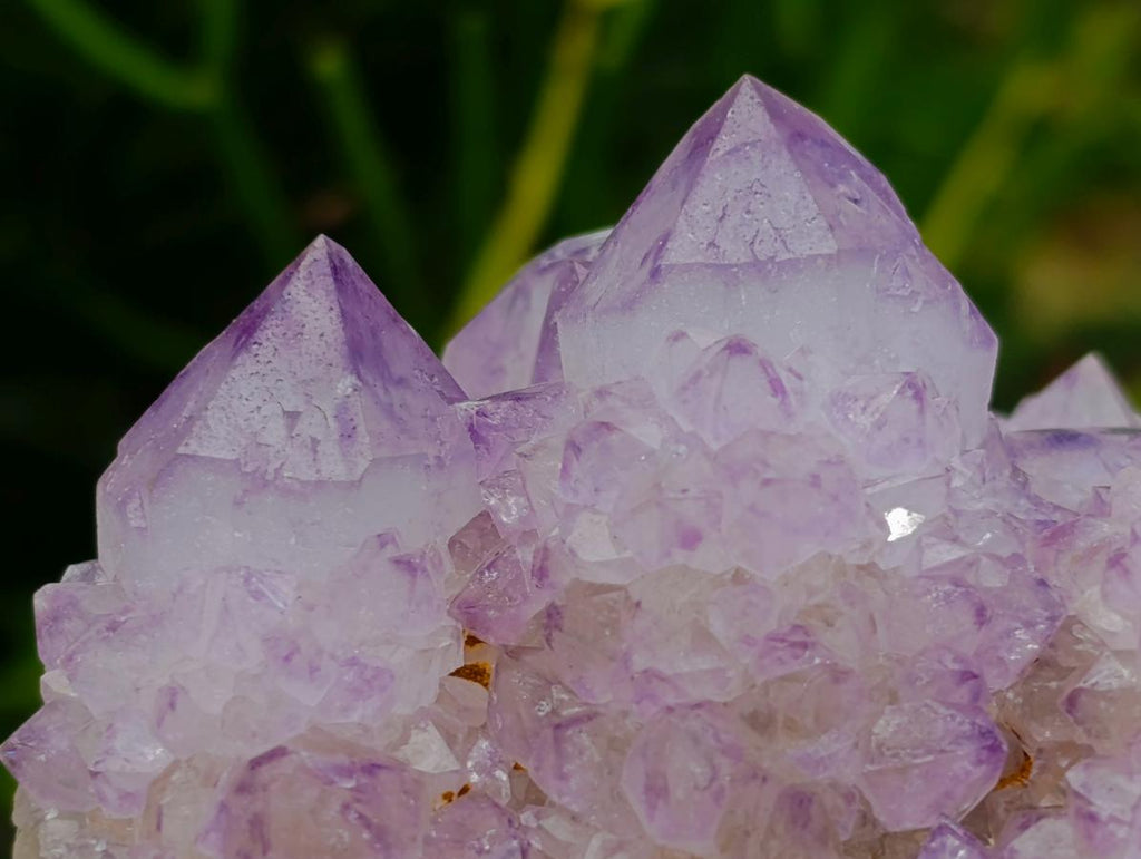 Natural Cactus Flower Spirit Quartz Clusters x 3 From South Africa - Toprock Gemstones and Minerals 
