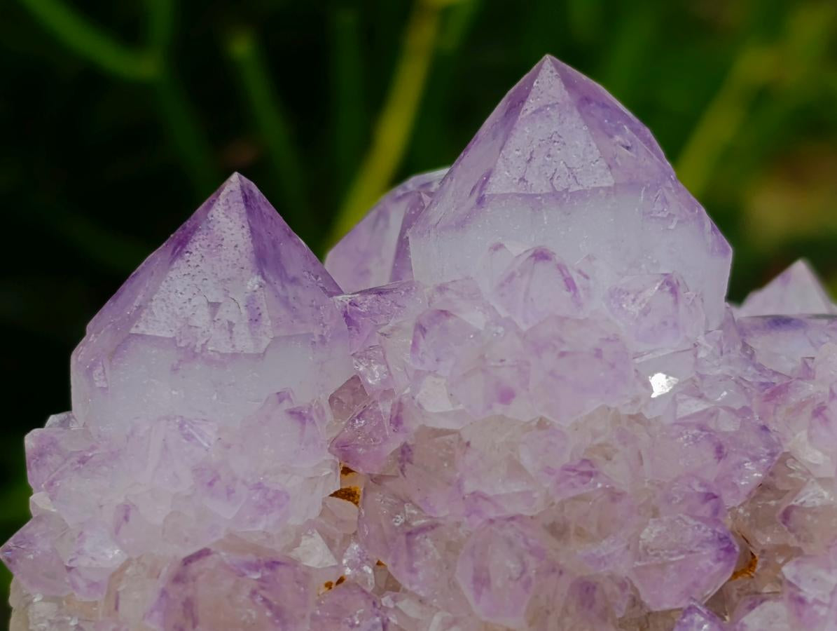 Natural Cactus Flower Spirit Quartz Clusters x 3 From South Africa - Toprock Gemstones and Minerals 