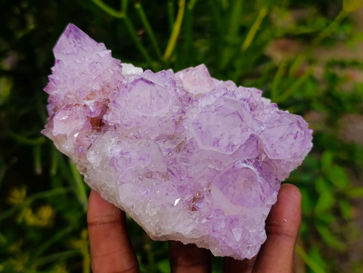 Natural Cactus Flower Spirit Quartz Clusters x 3 From South Africa - Toprock Gemstones and Minerals 