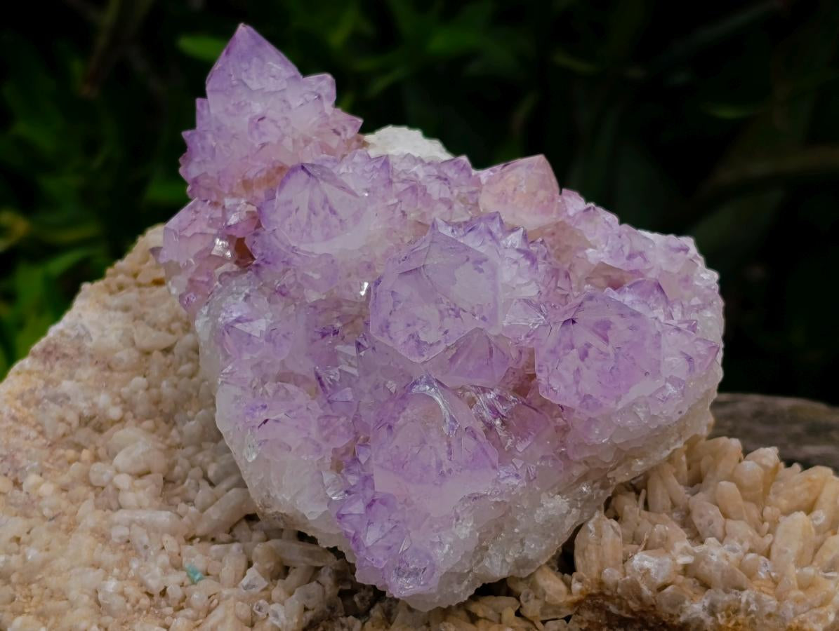 Natural Cactus Flower Spirit Quartz Clusters x 3 From South Africa - Toprock Gemstones and Minerals 