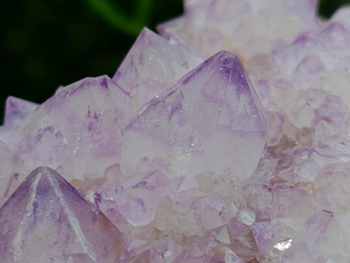 Natural Cactus Flower Spirit Quartz Clusters x 3 From South Africa - Toprock Gemstones and Minerals 
