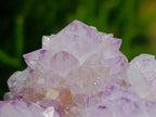 Natural Cactus Flower Spirit Quartz Clusters x 3 From South Africa - Toprock Gemstones and Minerals 