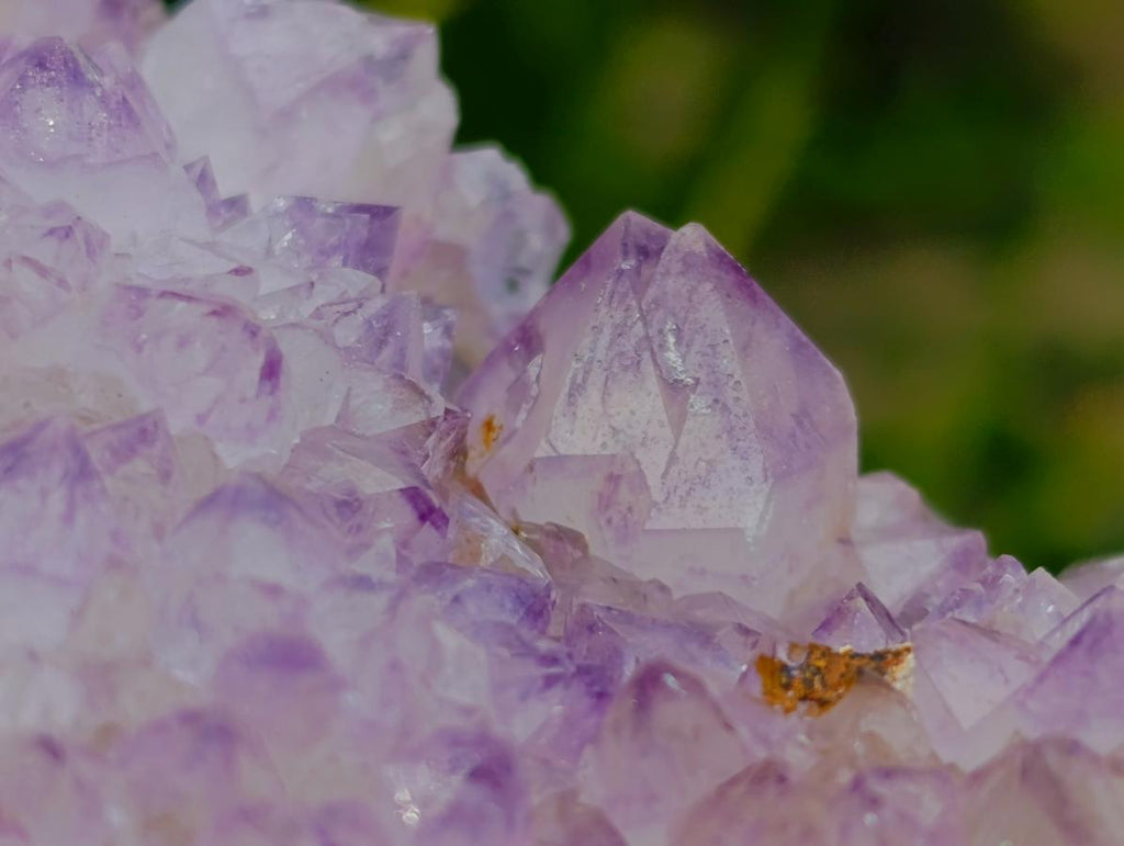 Natural Cactus Flower Spirit Quartz Clusters x 3 From South Africa - Toprock Gemstones and Minerals 