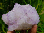 Natural Cactus Flower Spirit Quartz Clusters x 3 From South Africa - Toprock Gemstones and Minerals 