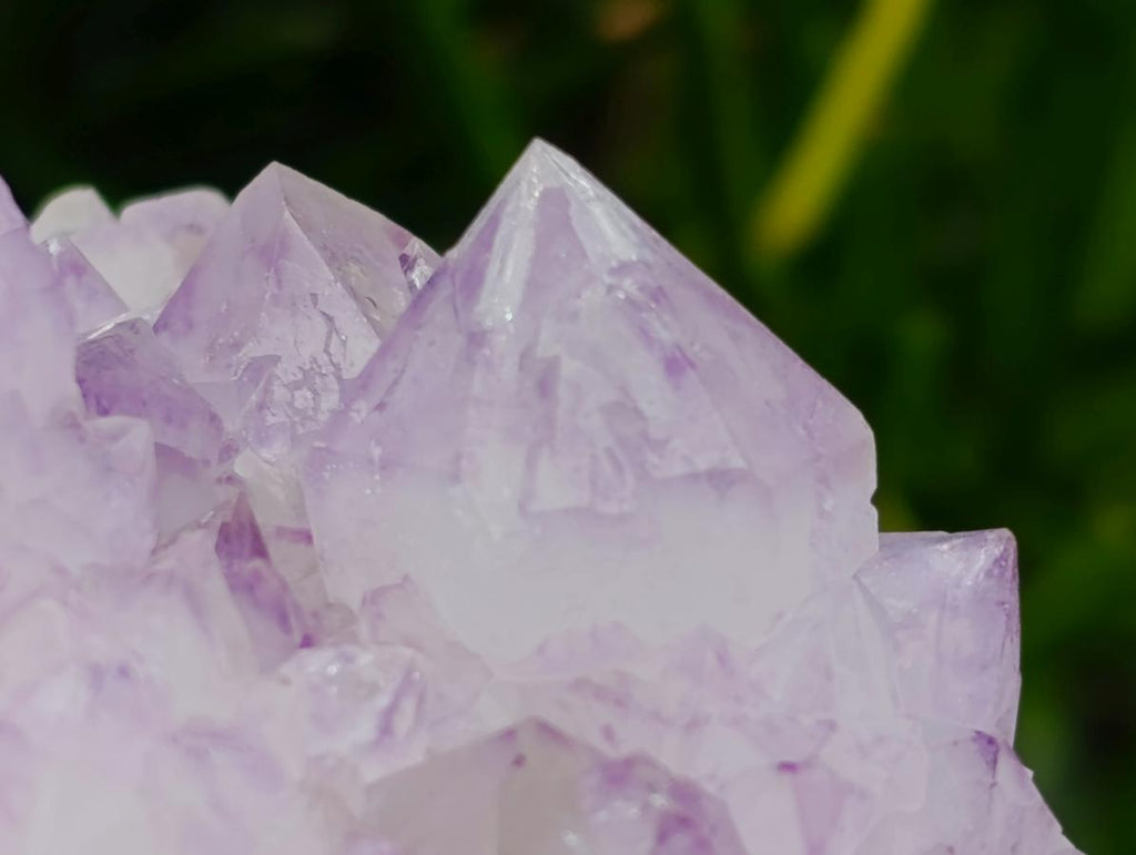 Natural Cactus Flower Spirit Quartz Clusters x 3 From South Africa - Toprock Gemstones and Minerals 