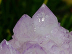 Natural Cactus Flower Spirit Quartz Clusters x 3 From South Africa - Toprock Gemstones and Minerals 