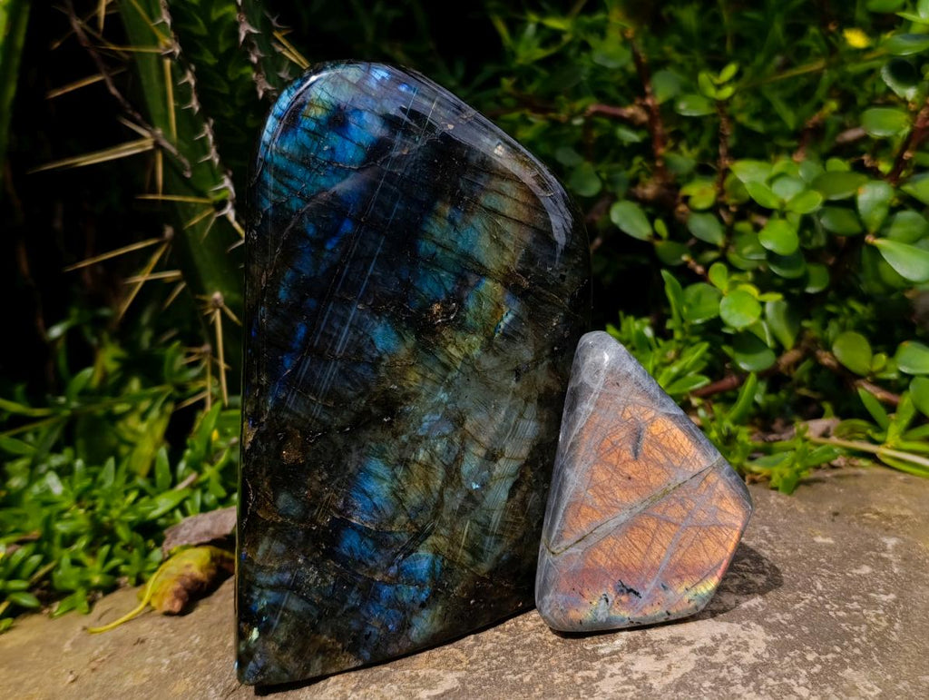 Polished Labradorite Standing Free Forms x 2 From Madagascar - Toprock Gemstones and Minerals 