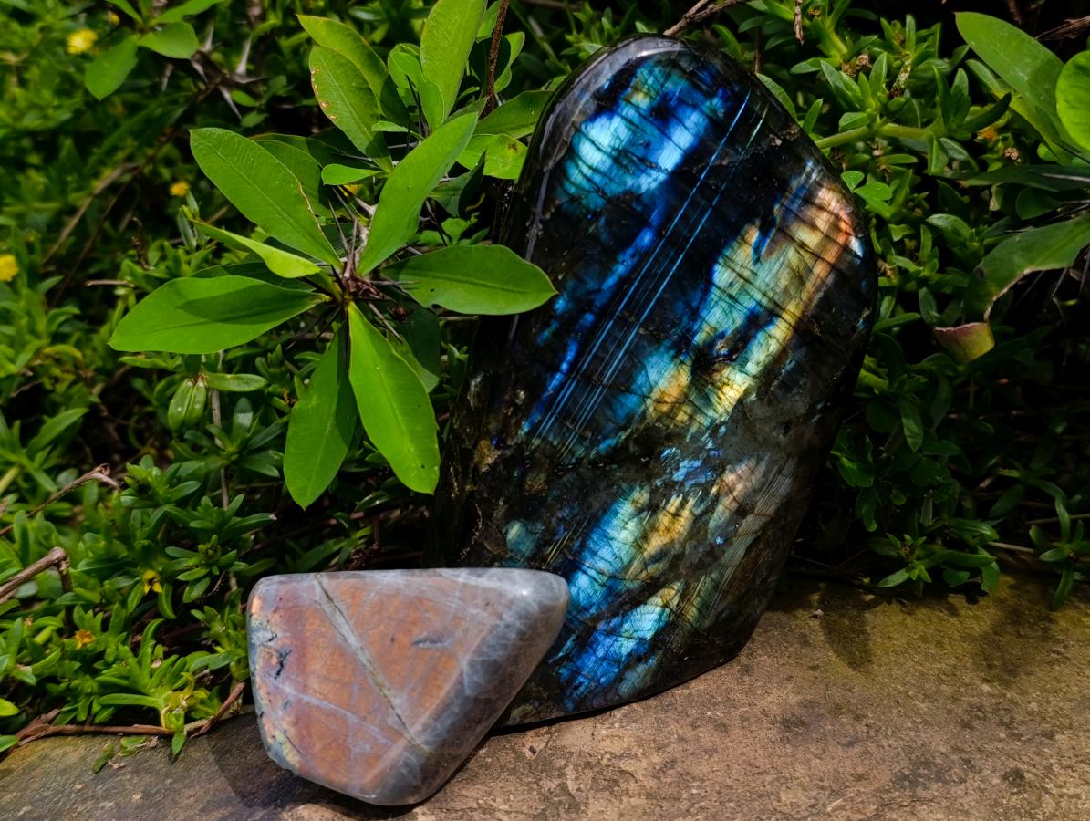 Polished Labradorite Standing Free Forms x 2 From Madagascar - Toprock Gemstones and Minerals 
