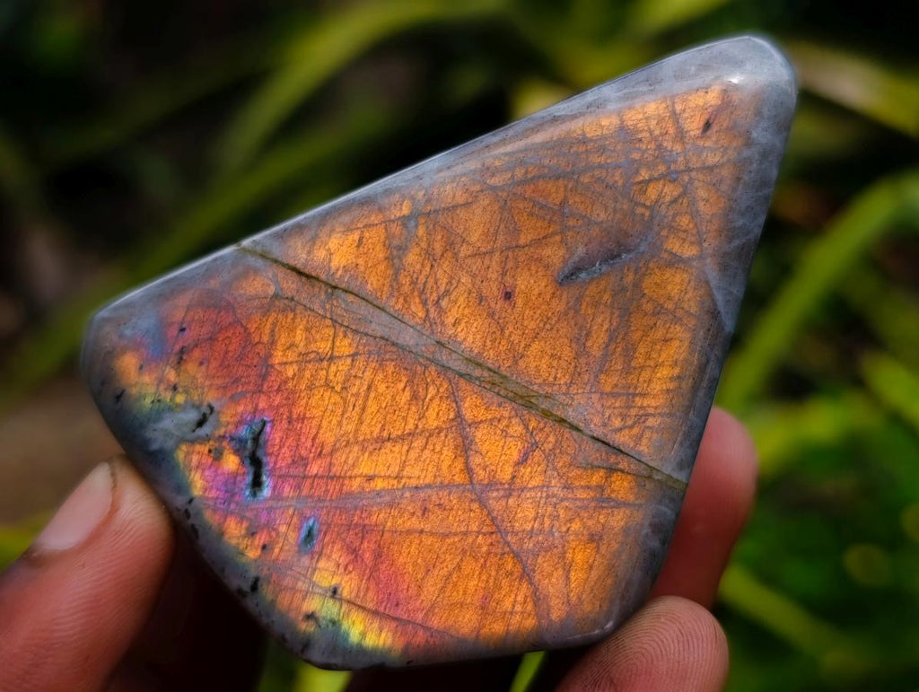 Polished Labradorite Standing Free Forms x 2 From Madagascar - Toprock Gemstones and Minerals 