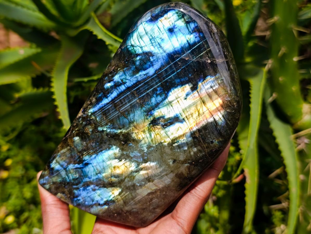 Polished Labradorite Standing Free Forms x 2 From Madagascar - Toprock Gemstones and Minerals 