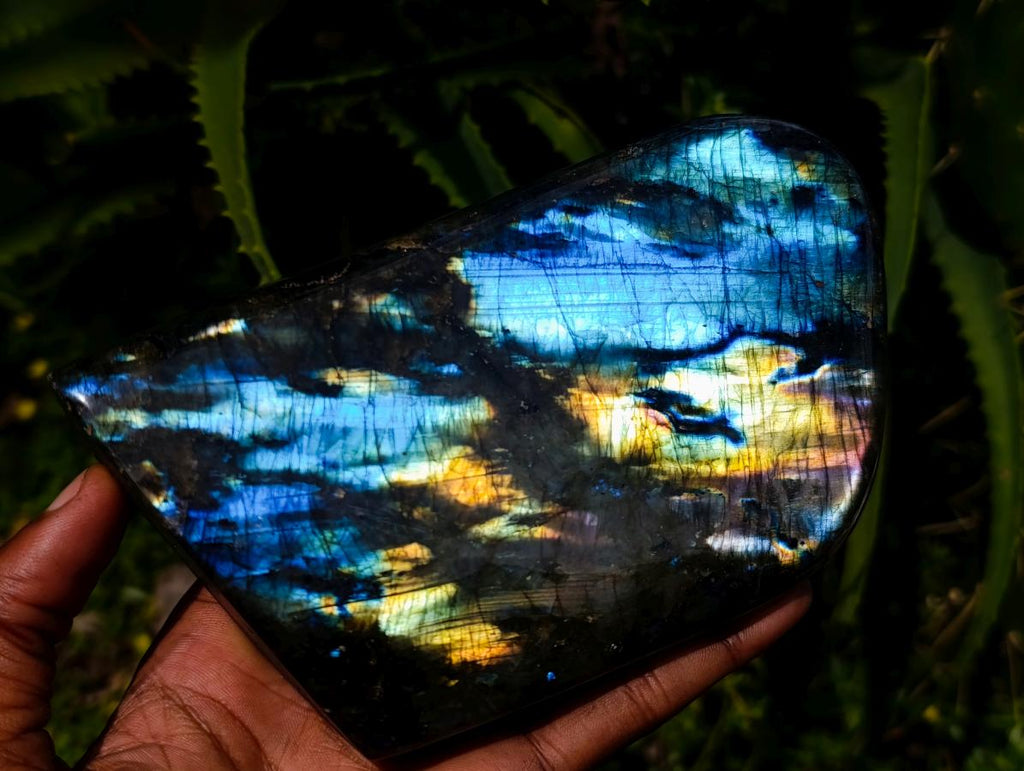 Polished Labradorite Standing Free Forms x 2 From Madagascar - Toprock Gemstones and Minerals 