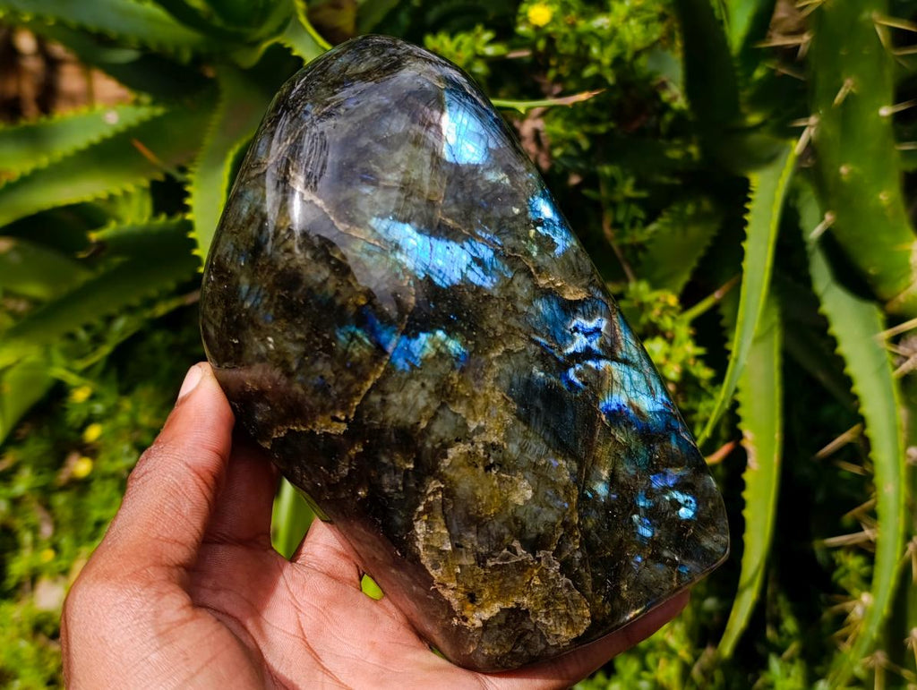 Polished Labradorite Standing Free Forms x 2 From Madagascar - Toprock Gemstones and Minerals 
