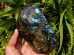 Polished Labradorite Standing Free Forms x 2 From Madagascar - Toprock Gemstones and Minerals 