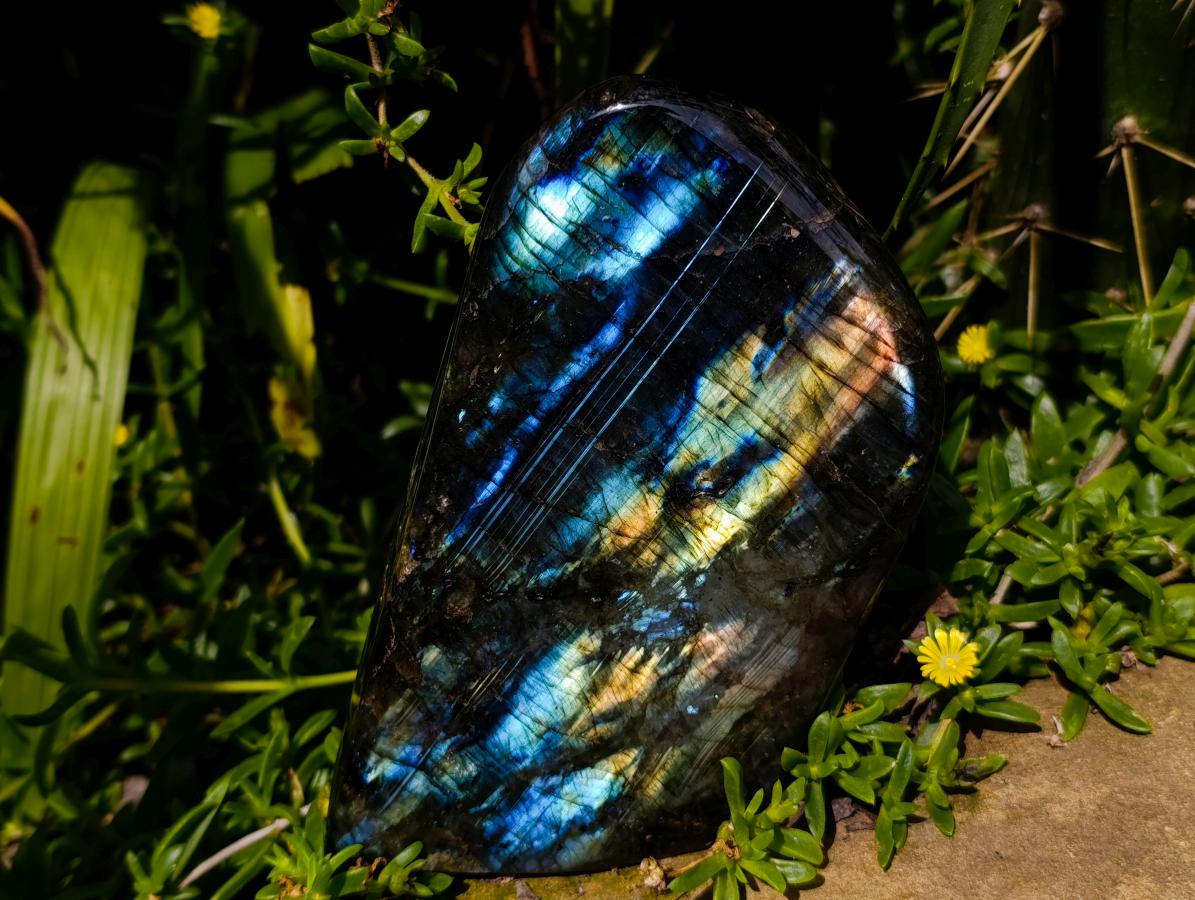 Polished Labradorite Standing Free Forms x 2 From Madagascar - Toprock Gemstones and Minerals 