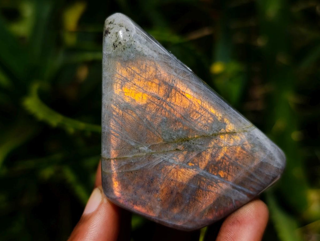 Polished Labradorite Standing Free Forms x 2 From Madagascar - Toprock Gemstones and Minerals 