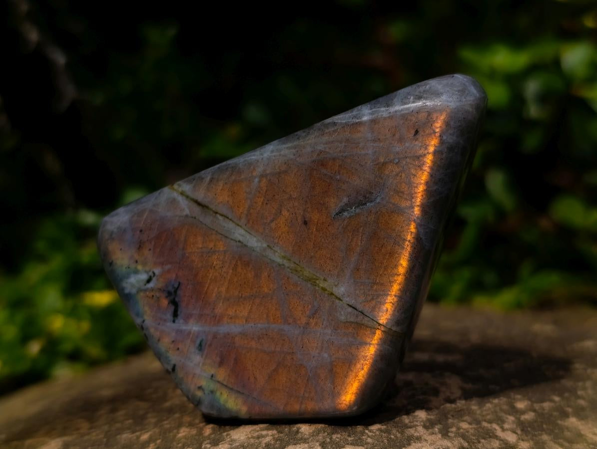 Polished Labradorite Standing Free Forms x 2 From Madagascar - Toprock Gemstones and Minerals 