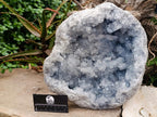 Natural XL Blue Celestite Geode Specimen x 1 From Sakoany, Madagascar - Toprock Gemstones and Minerals 