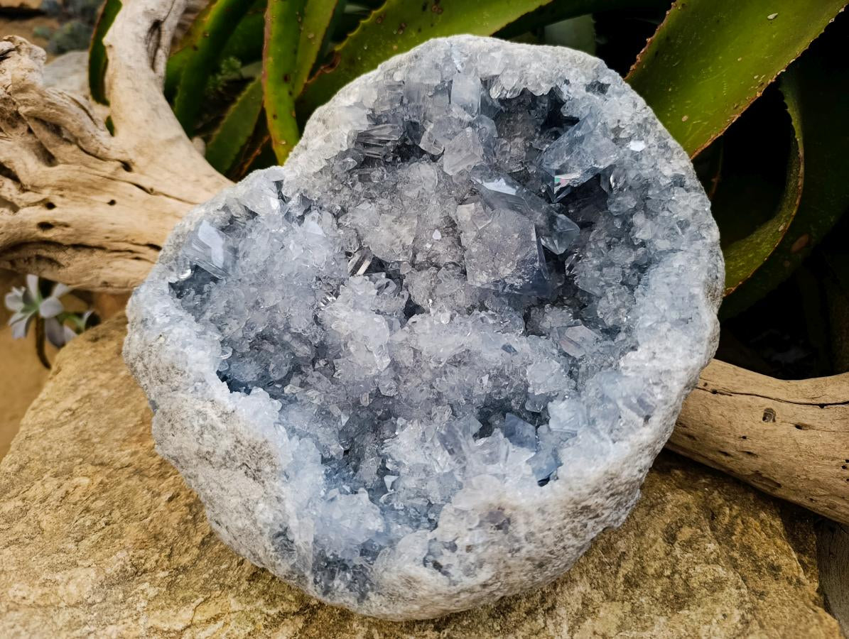 Natural XL Blue Celestite Geode Specimen x 1 From Sakoany, Madagascar - Toprock Gemstones and Minerals 