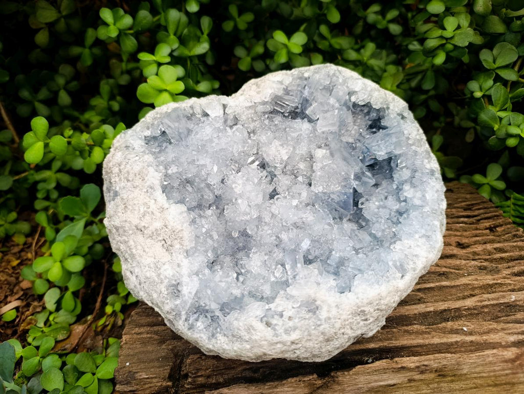 Natural XL Blue Celestite Geode Specimen x 1 From Sakoany, Madagascar - Toprock Gemstones and Minerals 