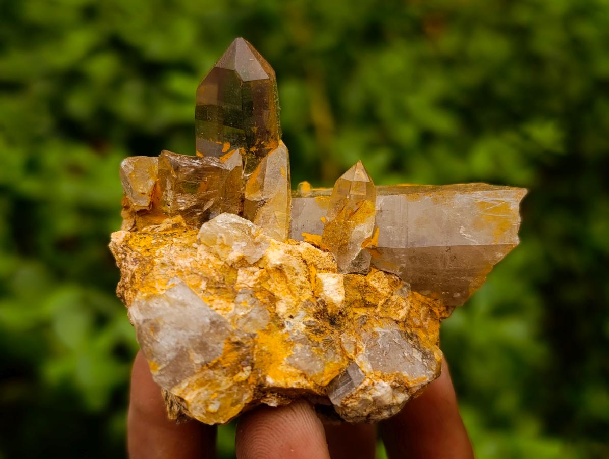 Natural Smokey Quartz Crystals x 24 From Zomba Plateau, Malawi - Toprock Gemstones and Minerals 