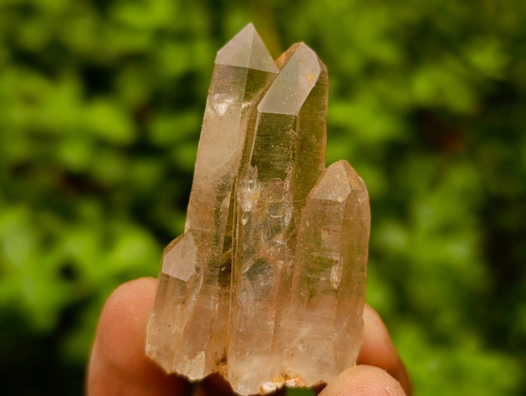 Natural Smokey Quartz Crystals x 24 From Zomba Plateau, Malawi - Toprock Gemstones and Minerals 