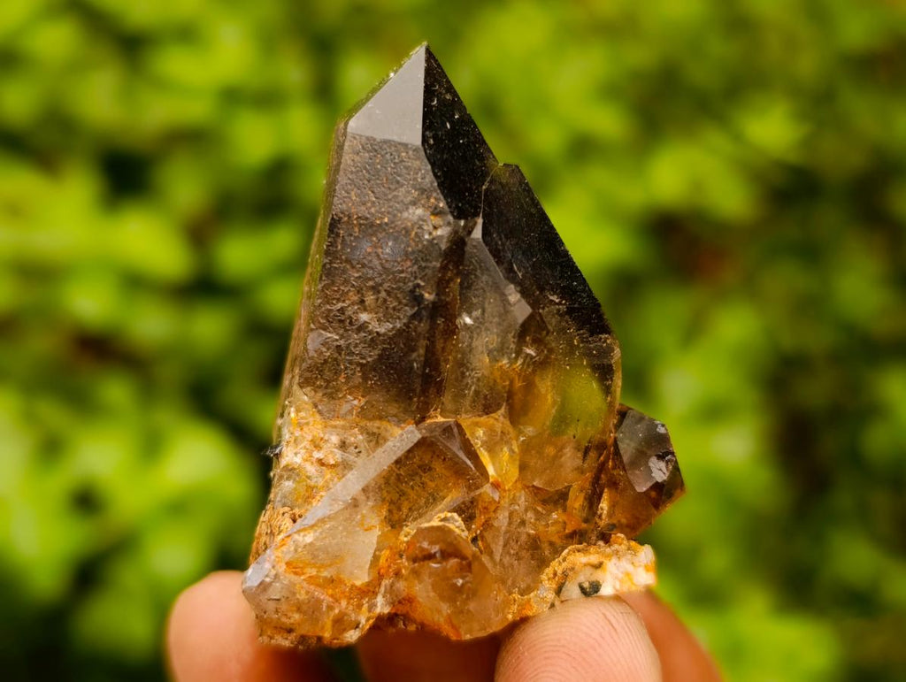 Natural Smokey Quartz Crystals x 24 From Zomba Plateau, Malawi - Toprock Gemstones and Minerals 