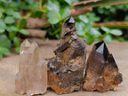 Natural Smokey Quartz Crystals x 24 From Zomba Plateau, Malawi - Toprock Gemstones and Minerals 
