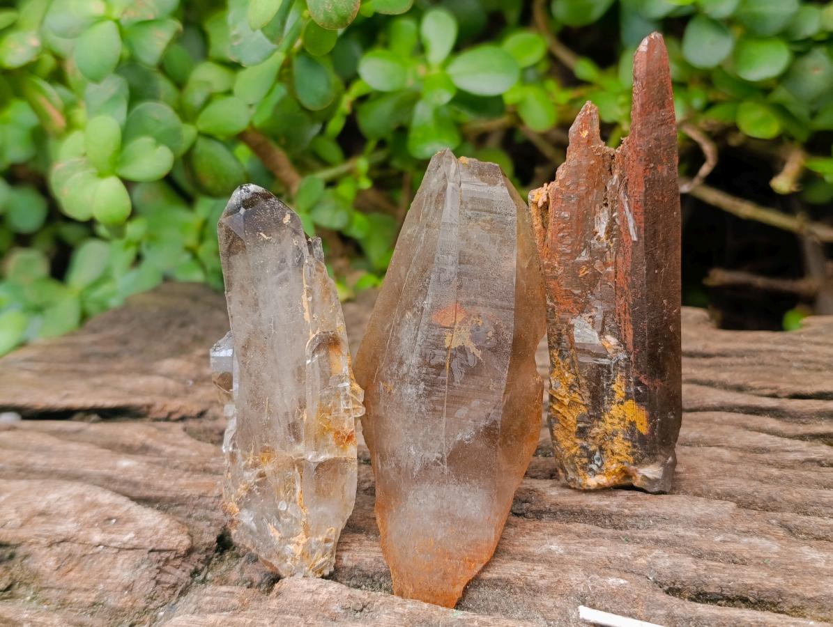 Natural Smokey Quartz Crystals x 24 From Zomba Plateau, Malawi - Toprock Gemstones and Minerals 