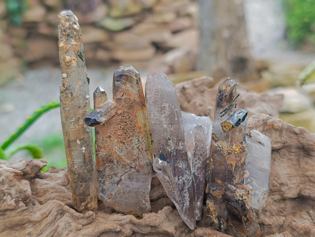 Natural Smokey Quartz Crystals x 24 From Zomba Plateau, Malawi - Toprock Gemstones and Minerals 