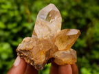 Natural Smokey Quartz Crystals x 24 From Zomba Plateau, Malawi - Toprock Gemstones and Minerals 