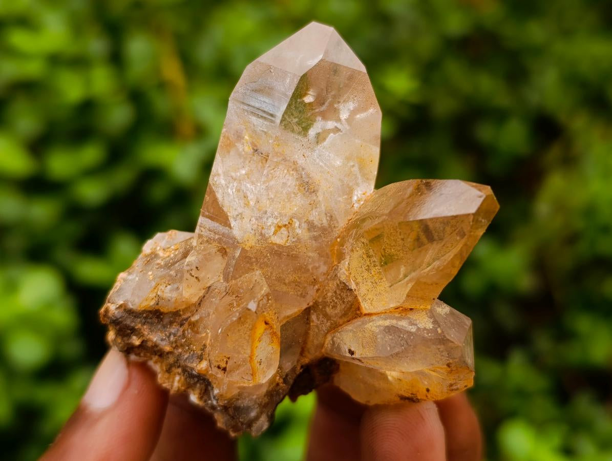 Natural Smokey Quartz Crystals x 24 From Zomba Plateau, Malawi - Toprock Gemstones and Minerals 