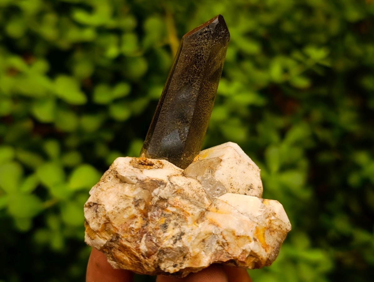Natural Smokey Quartz Crystals x 24 From Zomba Plateau, Malawi - Toprock Gemstones and Minerals 