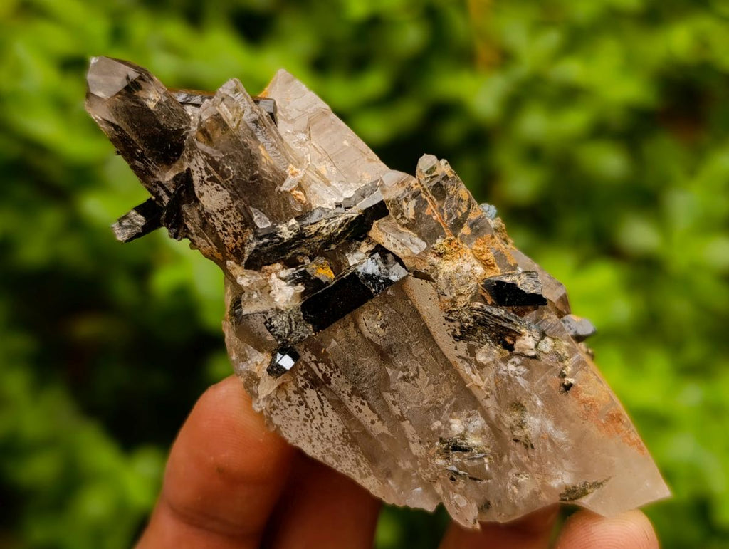 Natural Smokey Quartz Crystals x 24 From Zomba Plateau, Malawi - Toprock Gemstones and Minerals 