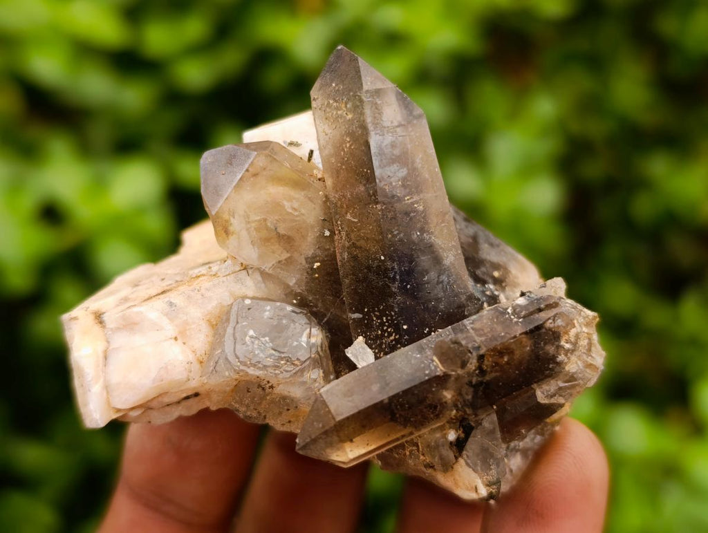 Natural Smokey Quartz Crystals x 24 From Zomba Plateau, Malawi - Toprock Gemstones and Minerals 