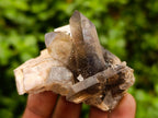 Natural Smokey Quartz Crystals x 24 From Zomba Plateau, Malawi - Toprock Gemstones and Minerals 