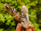 Natural Smokey Quartz Crystals x 24 From Zomba Plateau, Malawi - Toprock Gemstones and Minerals 