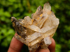 Natural Smokey Quartz Crystals x 24 From Zomba Plateau, Malawi - Toprock Gemstones and Minerals 